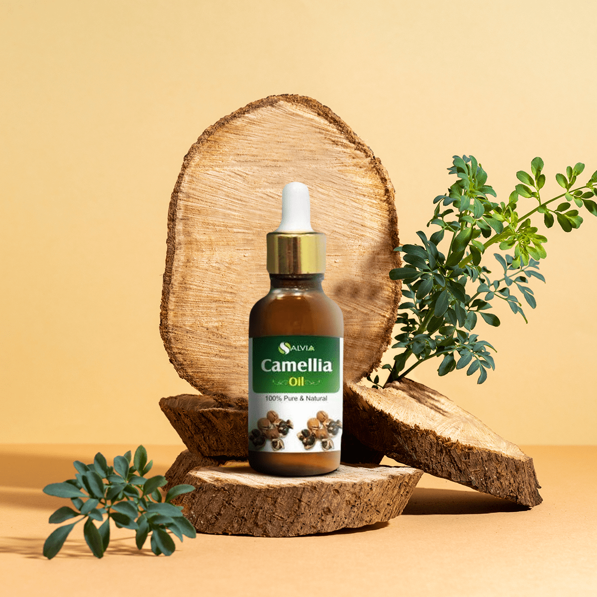 Salvia Natural Carrier Oils Camellia Oil (Camellia oleifera) Pure & Natural Carrier Oil Salvia Natural Carrier Oils Camellia Oil (Camellia oleifera) Pure & Natural Carrier Oil